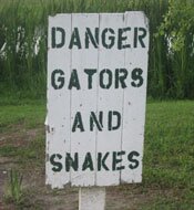 Swamp Tours in Louisiana