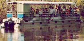 Cajun Critters Bayou Signette swamp tour