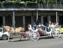 Take a New Orleans Carriage Tour