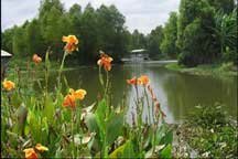 Louisiana Cajun Bayou Swamp Tour Tours by Isabelle