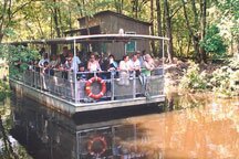 Jean Lafitte Louisiana swamp boat tour