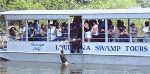 Louisiana Tour Company swamp tour